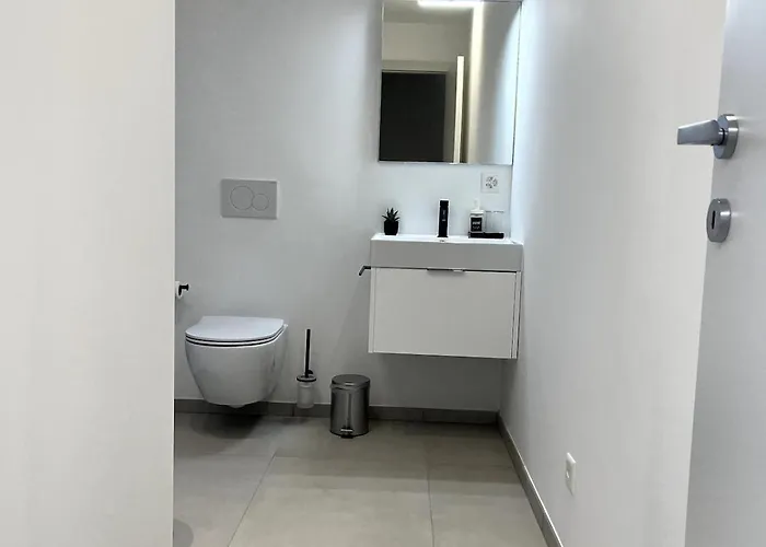 Locarno Centro E Lago A Pochi Passi Free Parking 公寓 洛迦诺